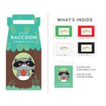 Sculpt A Raccoon：圖片 2